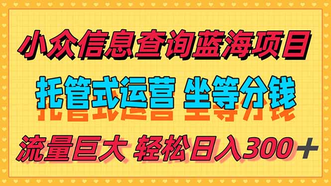 稳定日入300＋，小众信息查询蓝海项目，全程懒人式托管，解放你的时间-彼飞网创