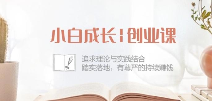 小白成长创业课：追求理论与实践结合，踏实落地，有尊严的持续赚钱-42节-彼飞网创