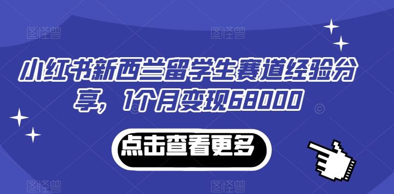 小红书新西兰留学生赛道经验分享，1个月变现68000【揭秘】-彼飞网创