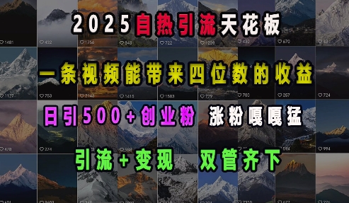 2025自热引流天花板，一条视频能带来四位数的收益，引流+变现双管齐下，日引500+创业粉，涨粉嘎嘎猛-彼飞网创