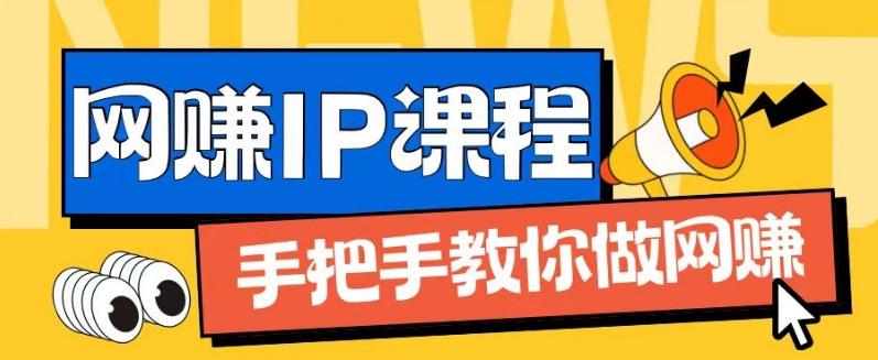 ip合伙人打造1.0，从0到1教你做网创，实现月入过万【揭秘】-彼飞网创