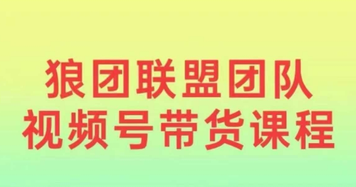 狼团联盟2024视频号带货，0基础小白快速入局视频号-彼飞网创