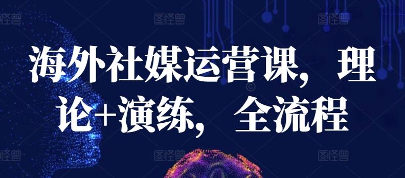 海外社媒运营课，理论+演练，全流程-彼飞网创