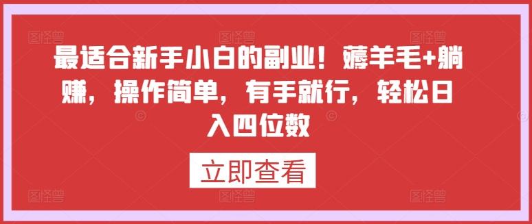 最适合新手小白的副业！薅羊毛+躺赚，操作简单，有手就行，轻松日入四位数【揭秘】-彼飞网创
