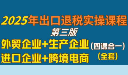 崔sir·出口退税实操-外贸企业+生产企业+跨境电商+进口企业(四课合一)-彼飞网创