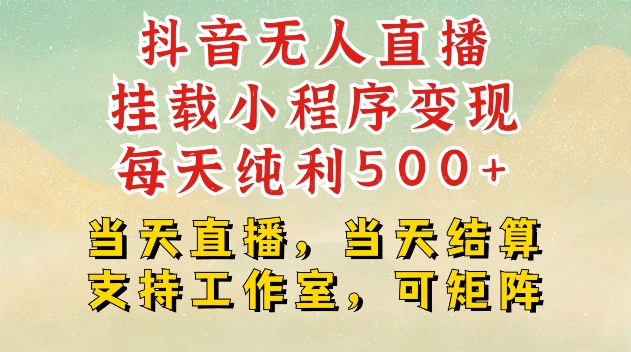 抖音无人直播挂载小程序变现每天纯利500+当天直播，当天结算支持工作室，可矩阵【揭秘】-彼飞网创