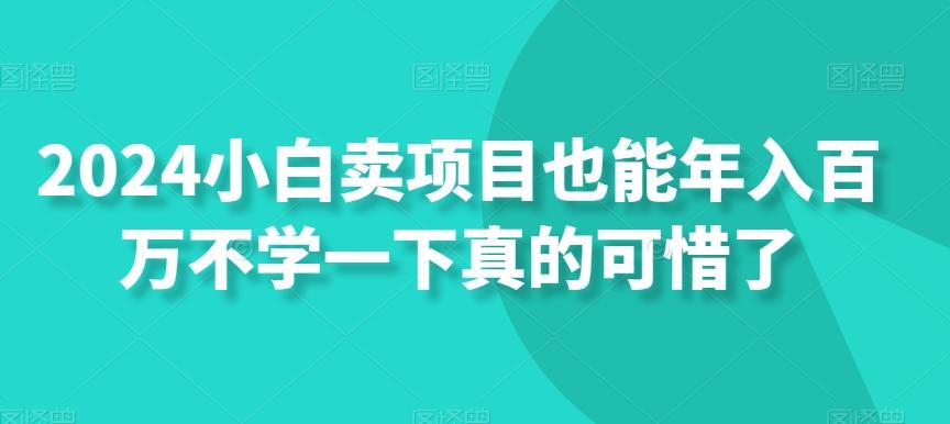 2024小白卖项目也能年入百万不学一下真的可惜了-彼飞网创