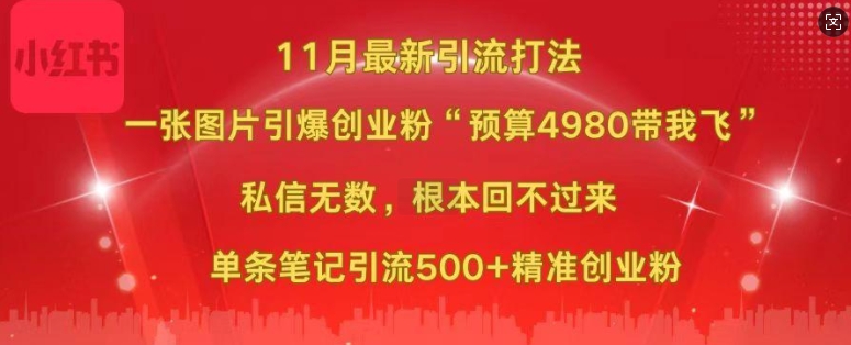 小红书11月最新图片打粉，一张图片引爆创业粉，“预算4980带我飞”，单条引流500+精准创业粉-彼飞网创