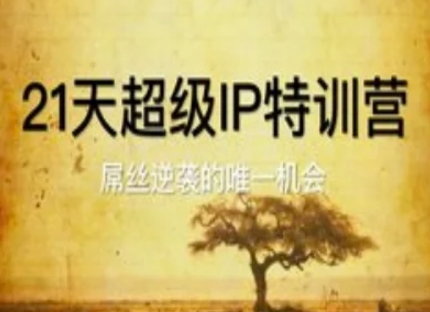 21天超级IP特训营，屌丝逆袭的唯一机会-彼飞网创