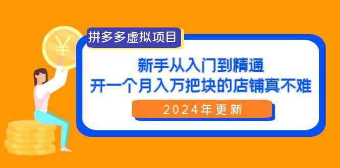 (9744期)拼多多虚拟项目：入门到精通，开一个月入万把块的店铺 真不难(24年更新)-彼飞网创