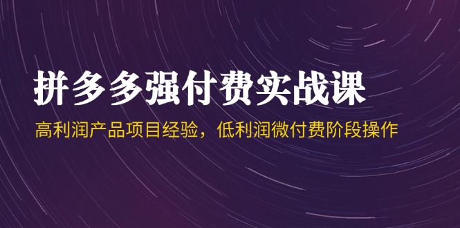 拼多多强付费实战课-44期，高利润产品项目经验，低利润微付费阶段操作-彼飞网创