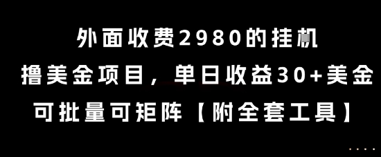 外面收费2980的挂G撸美金项目，单日收益30+美金，可批量可矩阵【揭秘】-彼飞网创