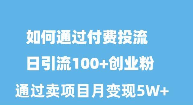 如何通过付费投流日引流100+创业粉月变现5W+-彼飞网创