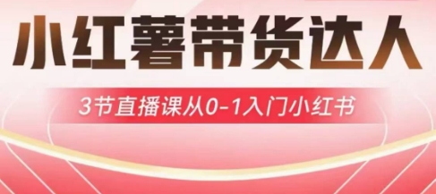 小红薯达人带货启航计划，3节直播课从0-1入门小红书-彼飞网创