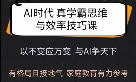 Ai时代真学霸思维与学习方法课，有格局且接地气，家庭教育有力参考-彼飞网创