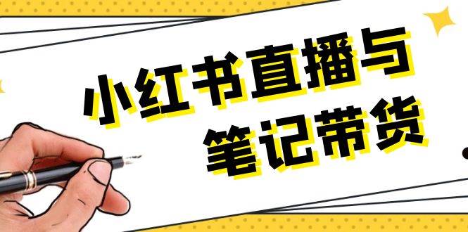 小红书直播与笔记带货：选品、上架、笔记写作、视频剪辑及直播话术等-彼飞网创