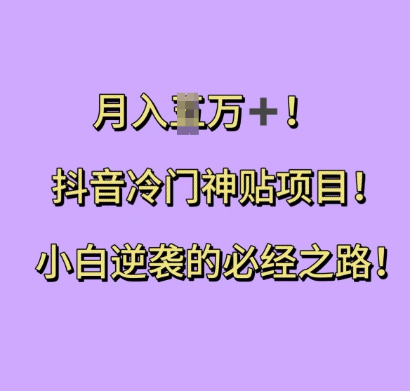 抖音冷门神贴项目，小白逆袭的必经之路，月入过W【揭秘】-彼飞网创