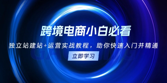 跨境电商小白必看！独立站建站+运营实战教程，助你快速入门并精通-彼飞网创