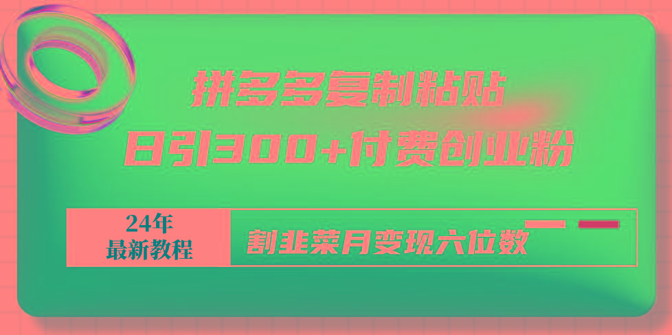 拼多多复制粘贴日引300+付费创业粉，割韭菜月变现六位数最新教程！-彼飞网创