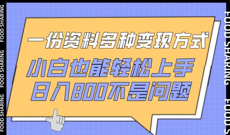 一份资料多种变现方式，小白也能轻松上手，日入800不是问题【揭秘】-彼飞网创
