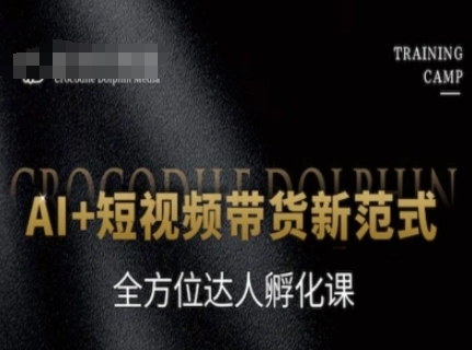 AI+短视频带货新范式，全方位达人孵化课-彼飞网创