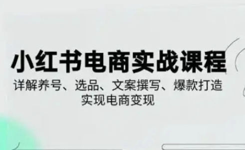 小红书从0-1实操课(2023-2025)，详解养号、选品、文案撰写、爆款打造实现电商变现-彼飞网创