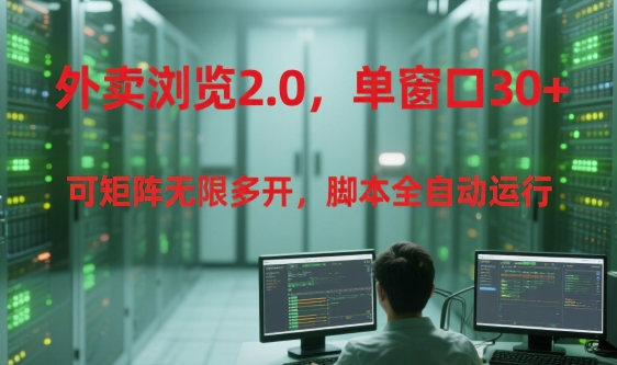 外卖浏览2.0，单窗口30+可矩阵无限多开，脚本全自动运行【揭秘】-彼飞网创