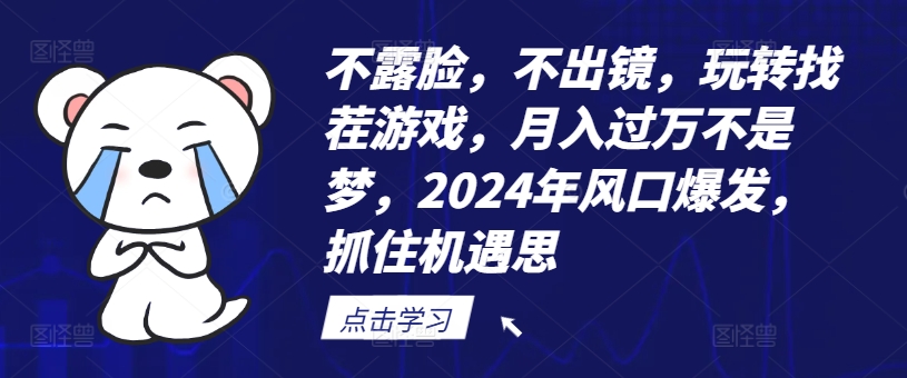 不露脸，不出镜，玩转找茬游戏，月入过万不是梦，2024年风口爆发，抓住机遇【揭秘】-彼飞网创