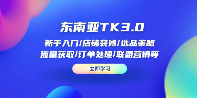 东南亚TK3.0：新手入门/店铺装修/选品策略/流量获取/订单处理/联盟营销等-彼飞网创
