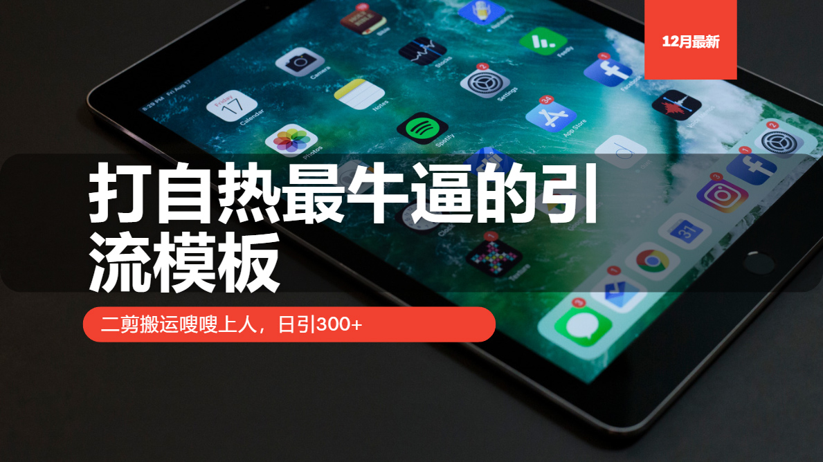 打自热最牛逼的引流模板，二剪搬运嗖嗖上人，日引300+-彼飞网创
