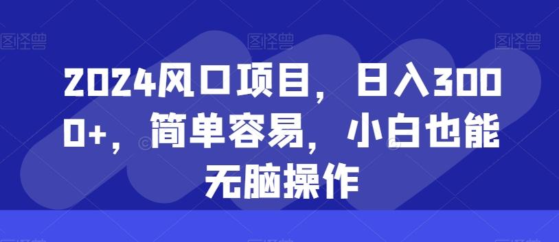 2024风口项目，日入3000+，简单容易，小白也能无脑操作-彼飞网创