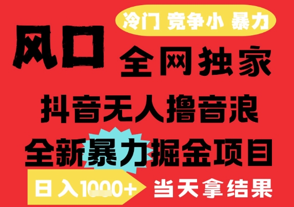 25年6月高爆抖音无人直播最新撸音浪掘金项目，解放双手小白可做，无脑日入1k+，门槛低【揭秘】-彼飞网创