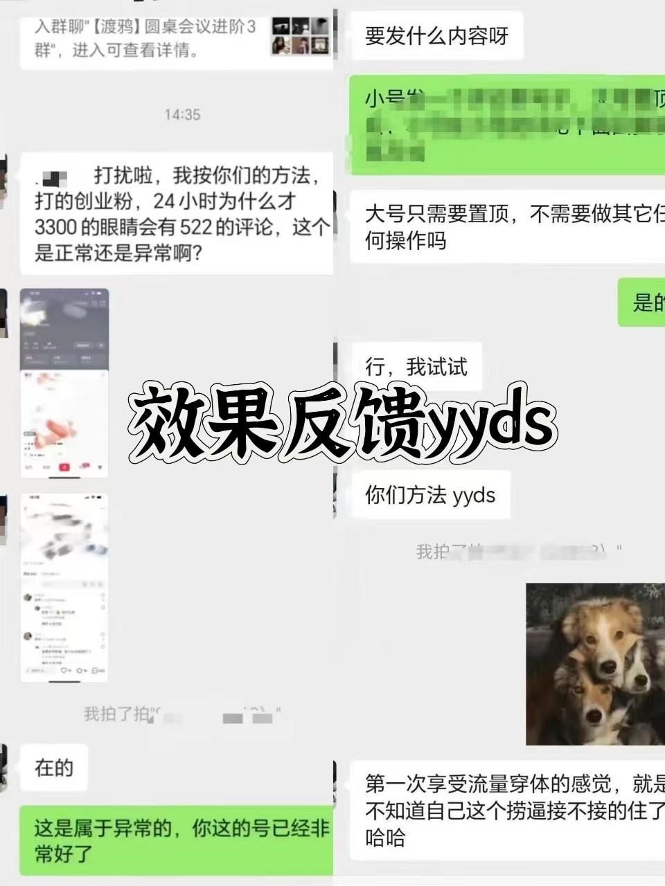 图片[3]-抖音小红书视频号全平台引流打法，全自动引流日引2000+精准客户-彼飞网创