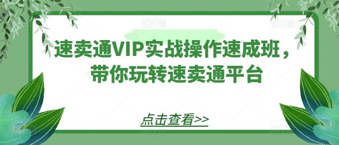 速卖通VIP实战操作速成班，带你玩转速卖通平台-彼飞网创