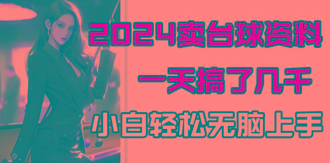 2024卖台球资料，一天搞了几千，小白轻松无脑上手-彼飞网创