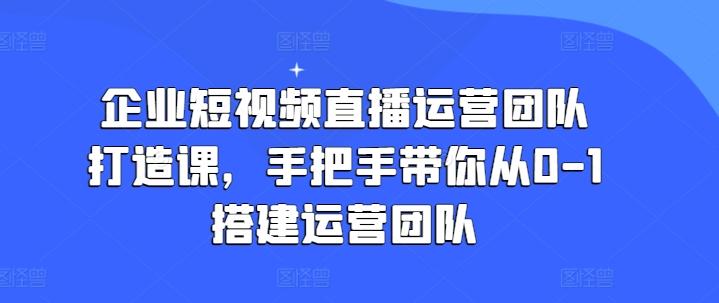 企业短视频直播运营团队打造课，手把手带你从0-1搭建运营团队-彼飞网创
