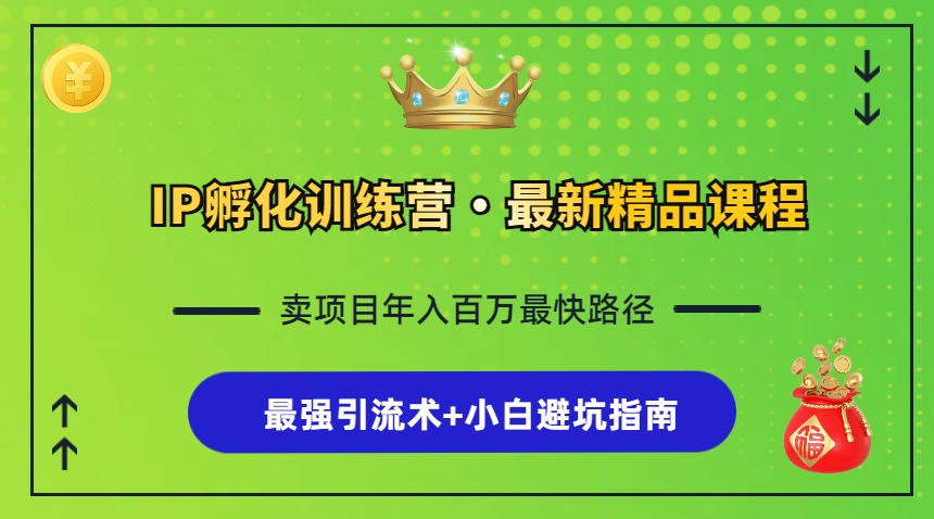 IP孵化训练营，知识付费全流程+最强引流术+小白避坑指南-彼飞网创