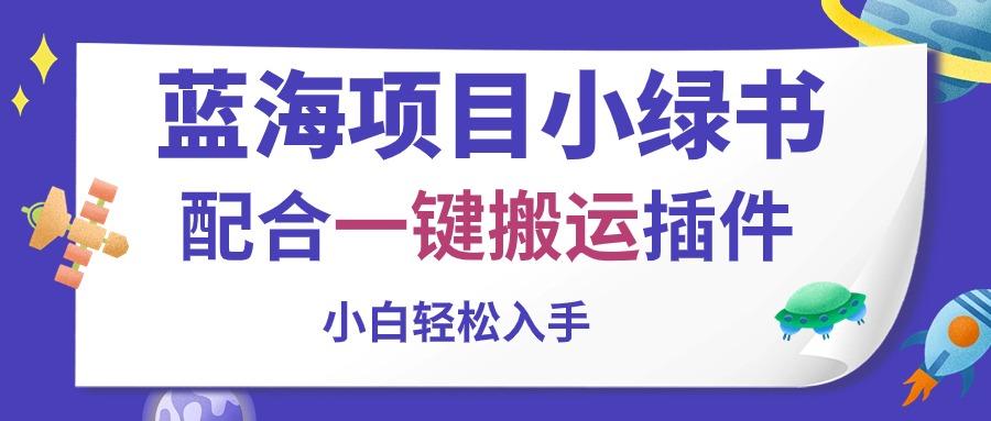 蓝海项目小绿书，配合一键搬运插件，小白轻松入手-彼飞网创