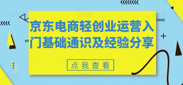 京东电商轻创业运营入门基础通识及经验分享-彼飞网创