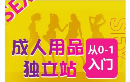 成人用品独立站从0-1入门，成品独立站运营全流程教学，七大好卖成品独立站推荐-彼飞网创