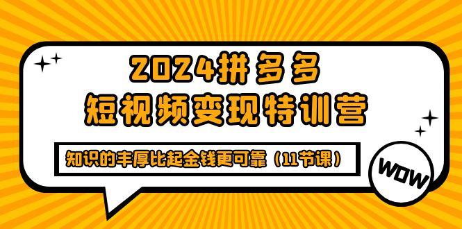 (9817期)2024拼多多短视频变现特训营，知识的丰厚比起金钱更可靠(11节课)-彼飞网创