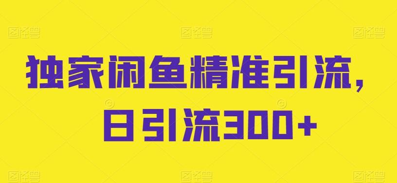 独家闲鱼精准引流，日引流300+【揭秘】-彼飞网创