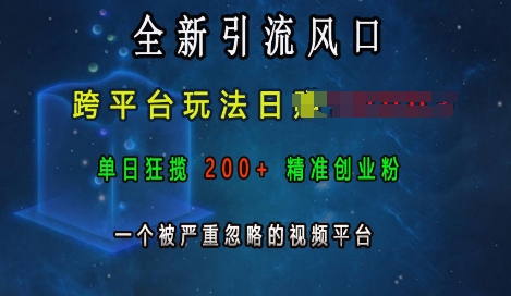 全新引流风口，跨平台玩法日入上k，单日狂揽200+精准创业粉，一个被严重忽略的视频平台-彼飞网创