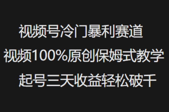 视频号冷门暴利赛道视频100%原创保姆式教学起号三天收益轻松破千-彼飞网创