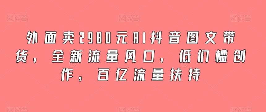 外面卖2980元AI抖音图文带货，全新流量风口，低们槛创作，百亿流量扶持-彼飞网创