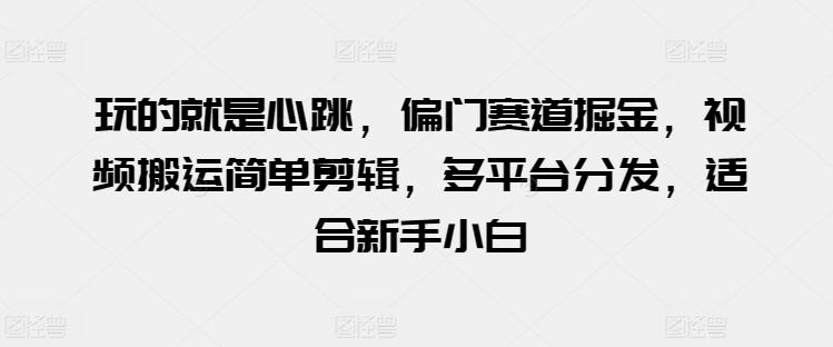玩的就是心跳，偏门赛道掘金，视频搬运简单剪辑，多平台分发，适合新手小白【揭秘】-彼飞网创