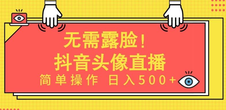 无需露脸，Ai头像直播项目，简单操作日入500+【揭秘】-彼飞网创