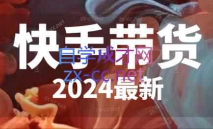 快手带货(2024最新)-彼飞网创