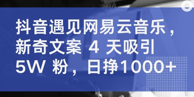 抖音遇见网易云音乐，新奇文案 4 天吸引 5W 粉，日挣1000+【揭秘】-彼飞网创