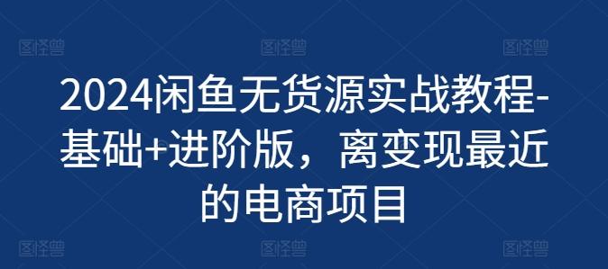 2024闲鱼无货源实战教程-基础+进阶版，离变现最近的电商项目-彼飞网创